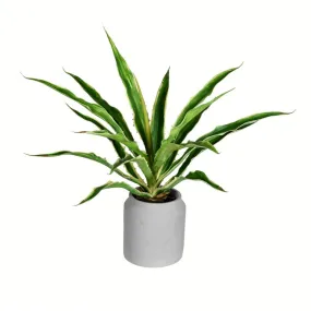 23" Artificial Potted Yucca Plant in Classic White Ceramic Pot