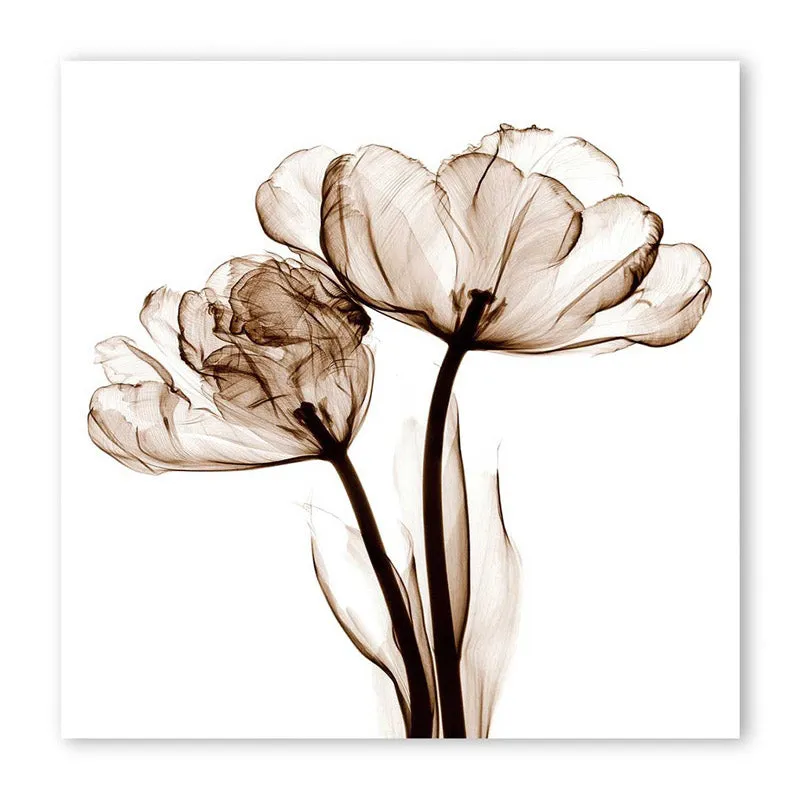 Asteroma Floral Wall Art