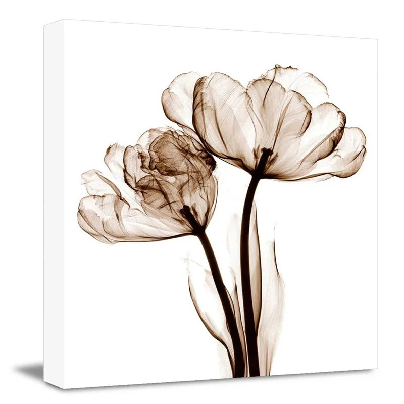 Asteroma Floral Wall Art