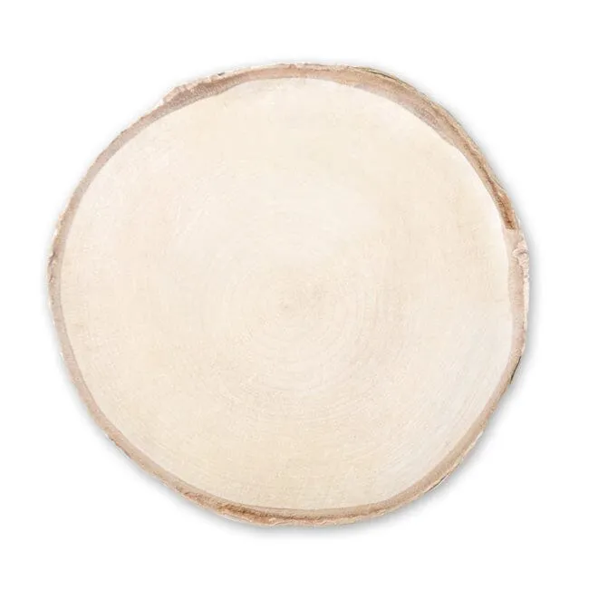 Birch Wood Slice 5-6"