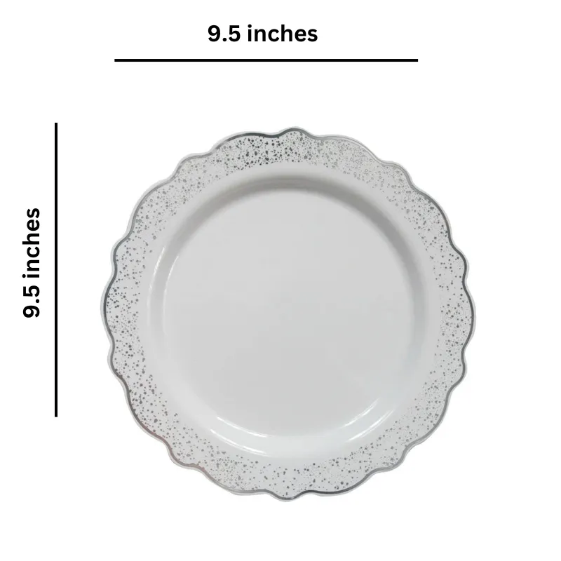 Confetti Collections Plate White Silver 9.5"