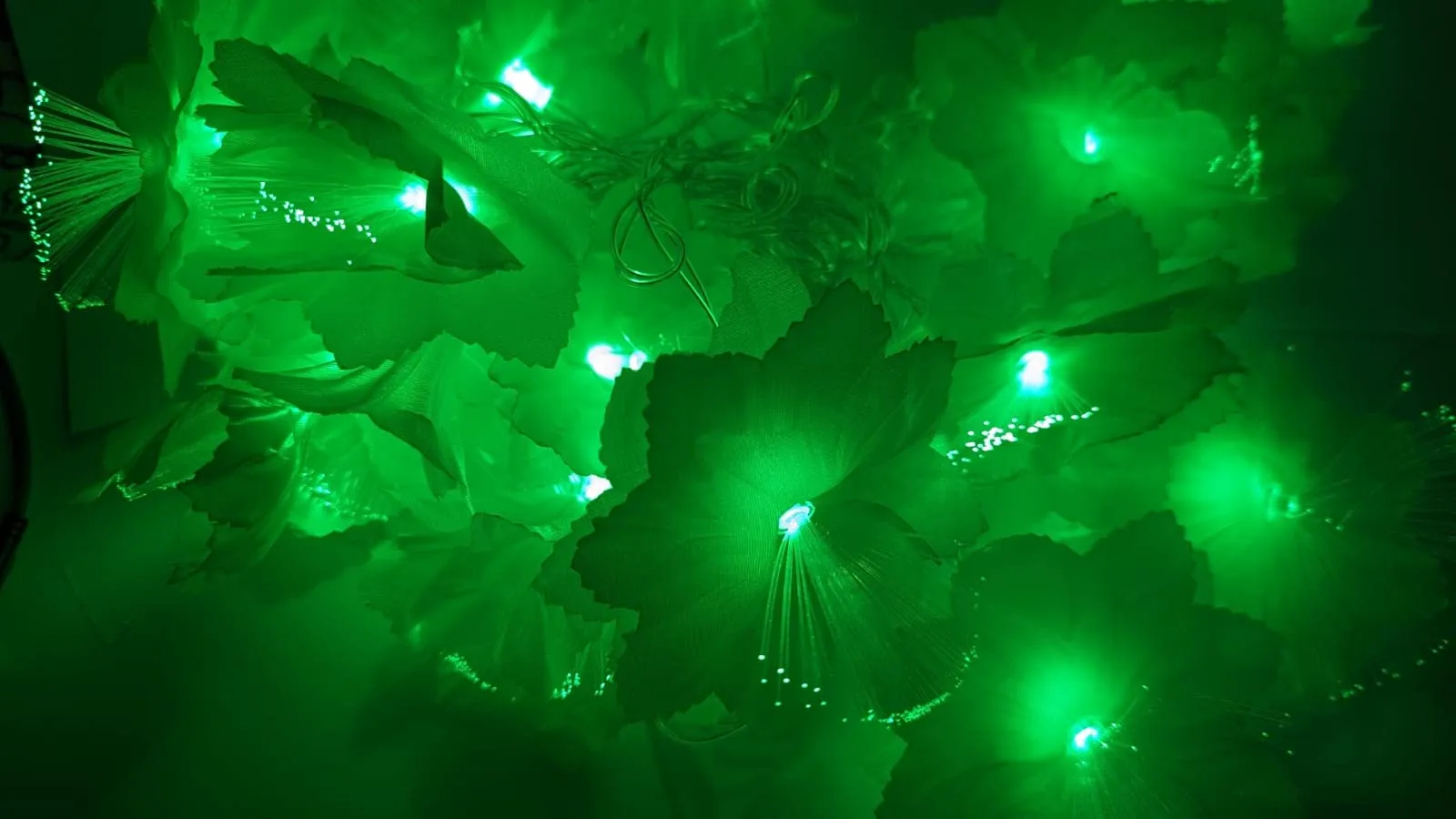 Dwarakesh Enterprises® 16 e led Green Fairy String Lights, 4.7 Meter Festive Lights for Diwali Home Decoration with Optical Fibre tip Light pollens