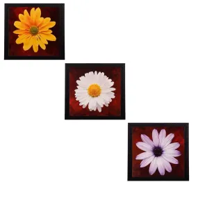 eCraftIndia Satin Matt Textured Synthetic Wood Art Painting (25 cm x 25 cm, Set of 3, C3FPB1116_A)