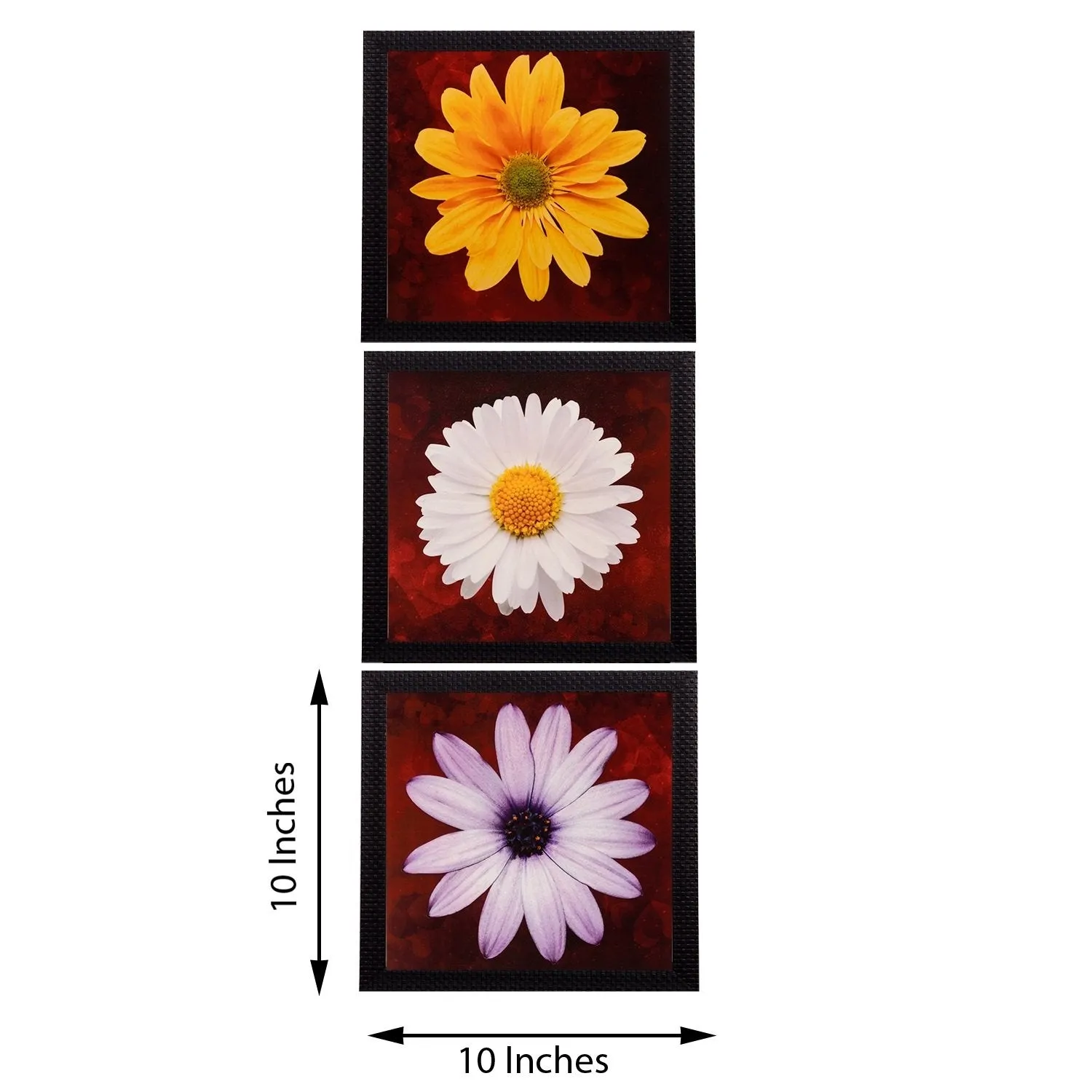 eCraftIndia Satin Matt Textured Synthetic Wood Art Painting (25 cm x 25 cm, Set of 3, C3FPB1116_A)