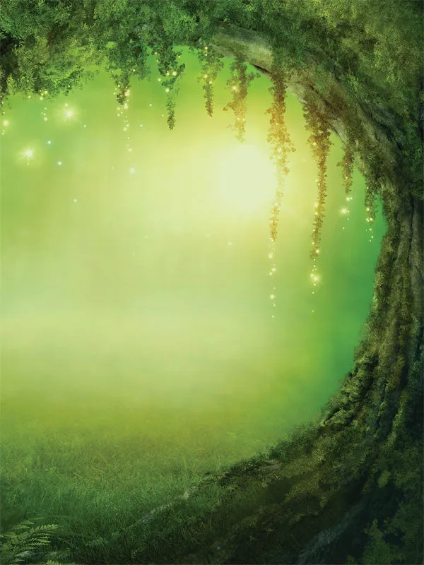 Fairytale Trail Printed Photography Backdrop