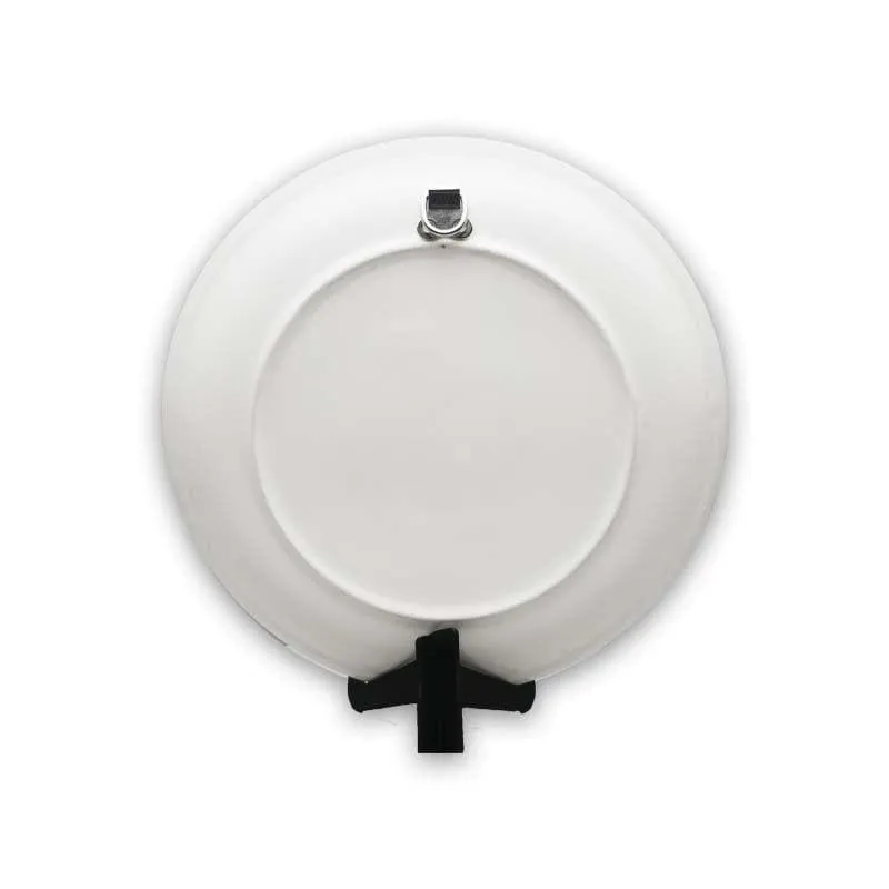 Floral Lush Decorative Plates