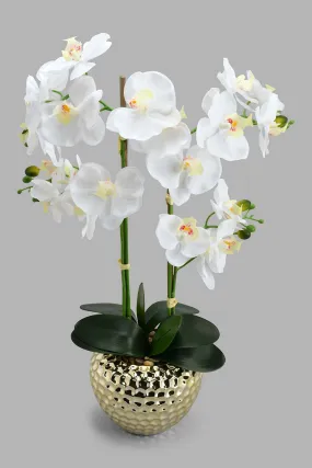 Gold Artificial Orchids In Ceramic Vase