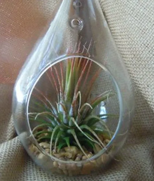 Hanging Glass Teardrop Tealight Candle Holder Large