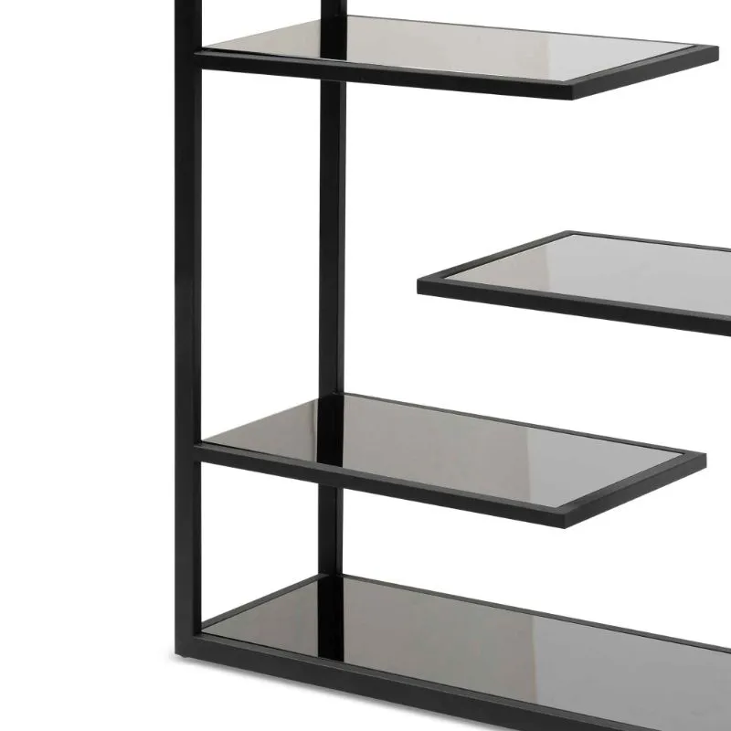 Meadowbrook Black Glass Shelving Unit - Black