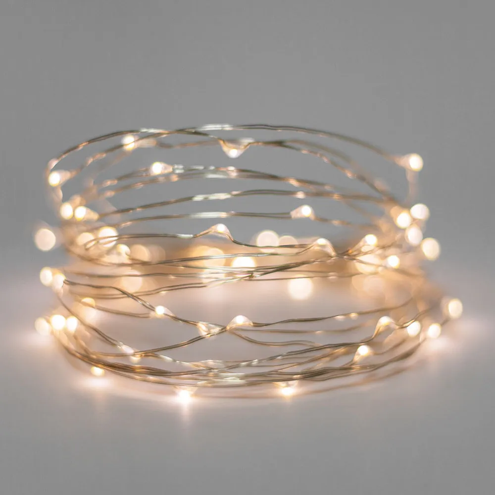 Mini LED Fairy Lights with Battery