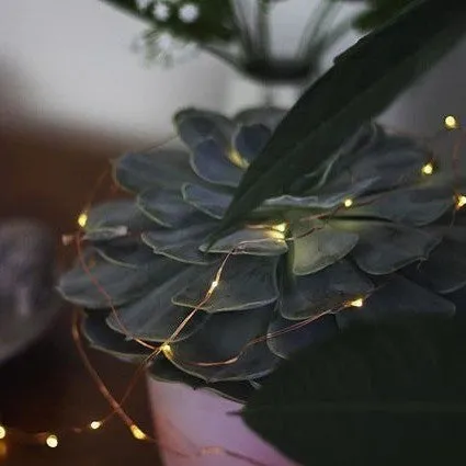 Mini LED Fairy Lights with Battery