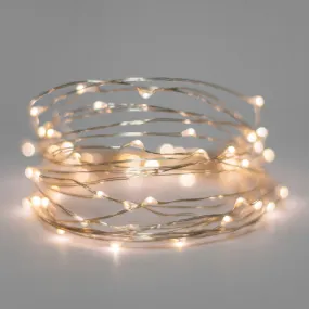 Mini LED Fairy Lights with Battery