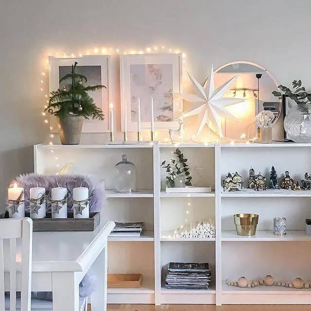 Mini LED Fairy Lights with Battery