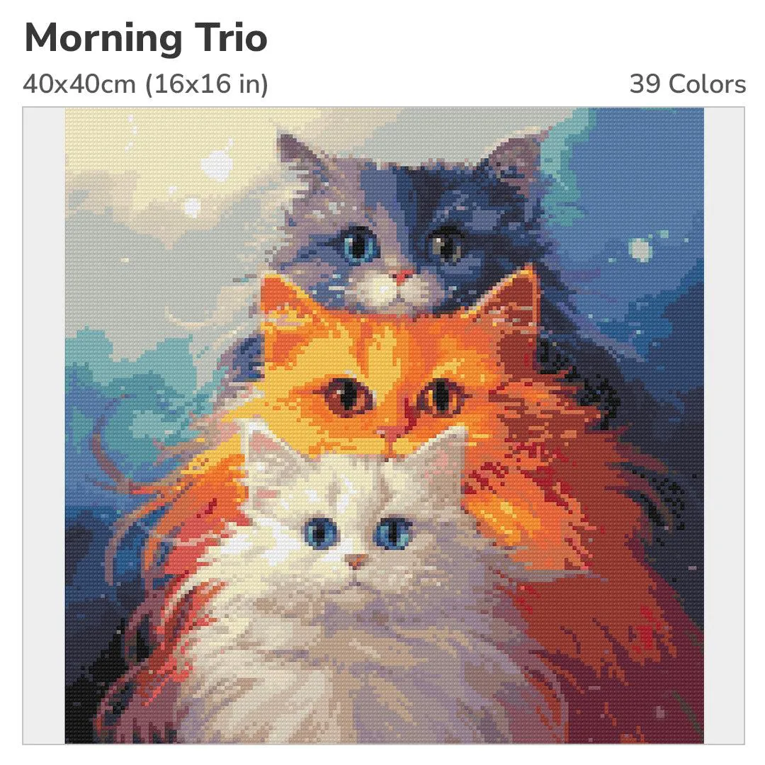 Morning Trio
