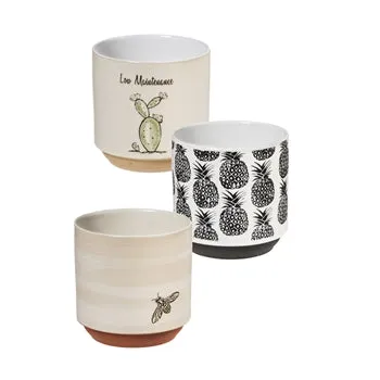 Pot - Ceramic (3 asst)
