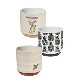 Pot - Ceramic (3 asst)