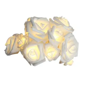 Rose Fairy LED Lights (Pure White)