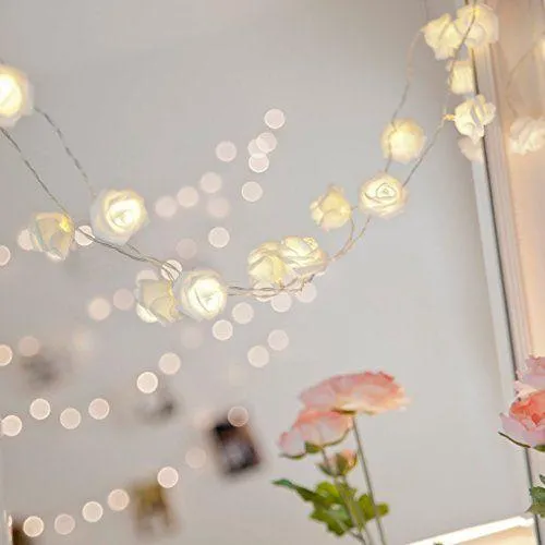 Rose Fairy LED Lights (Pure White)