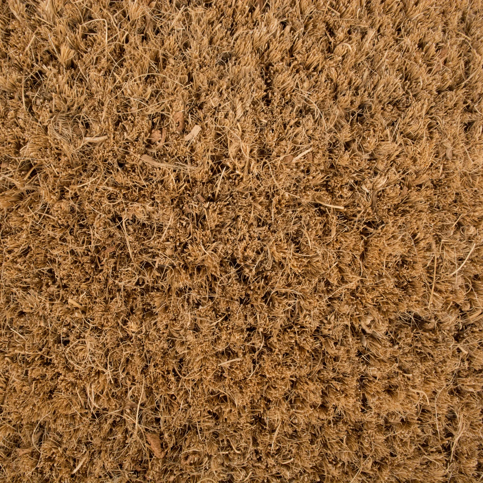 Welcome Woods Doormat